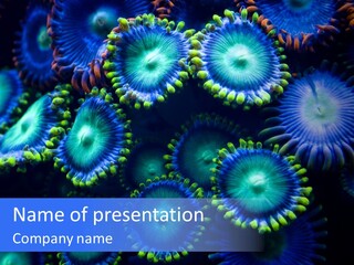 Efflorescent Conservation Bubble PowerPoint Template