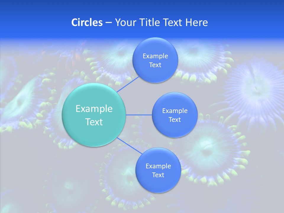 Efflorescent Conservation Bubble PowerPoint Template