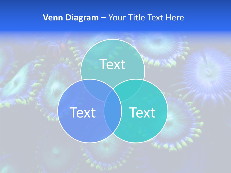Efflorescent Conservation Bubble PowerPoint Template