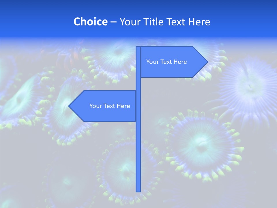 Efflorescent Conservation Bubble PowerPoint Template