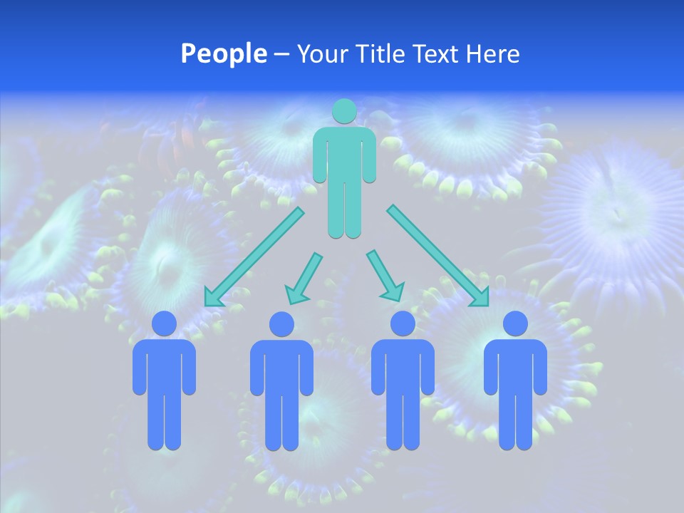 Efflorescent Conservation Bubble PowerPoint Template