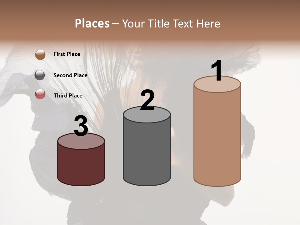 Hairstyle Passion Head PowerPoint Template