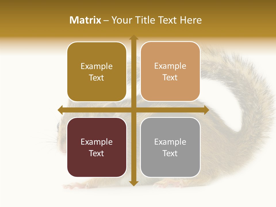 Rodent Small Tail PowerPoint Template