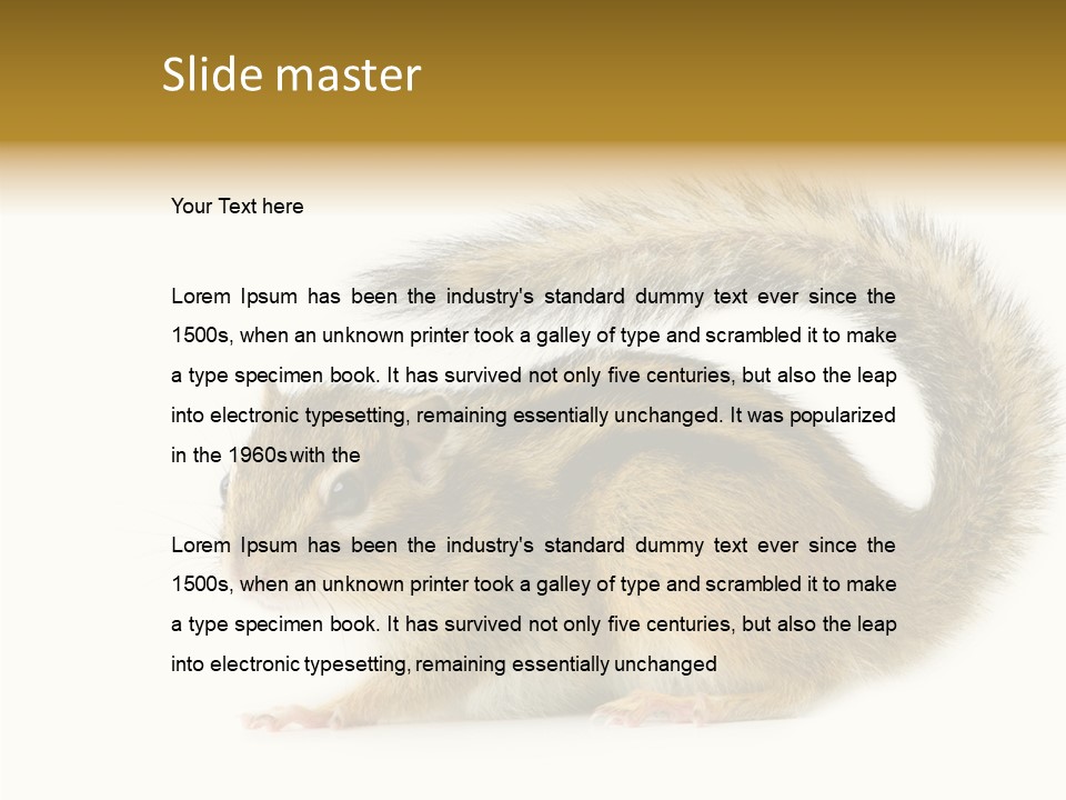 Rodent Small Tail PowerPoint Template