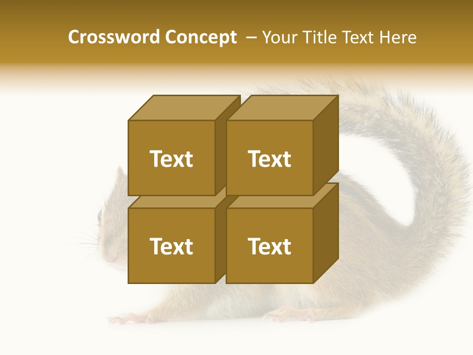 Rodent Small Tail PowerPoint Template