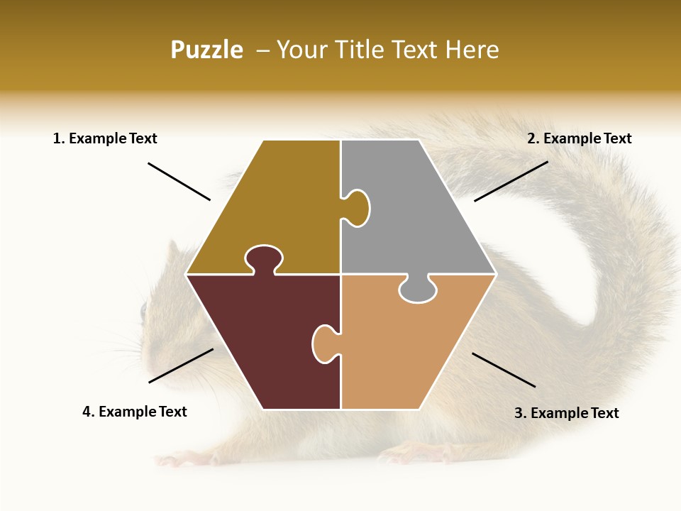 Rodent Small Tail PowerPoint Template