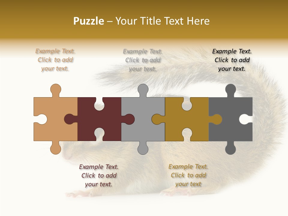 Rodent Small Tail PowerPoint Template