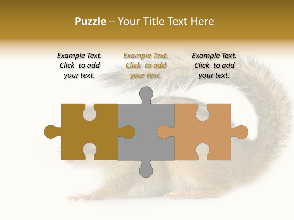 Rodent Small Tail PowerPoint Template