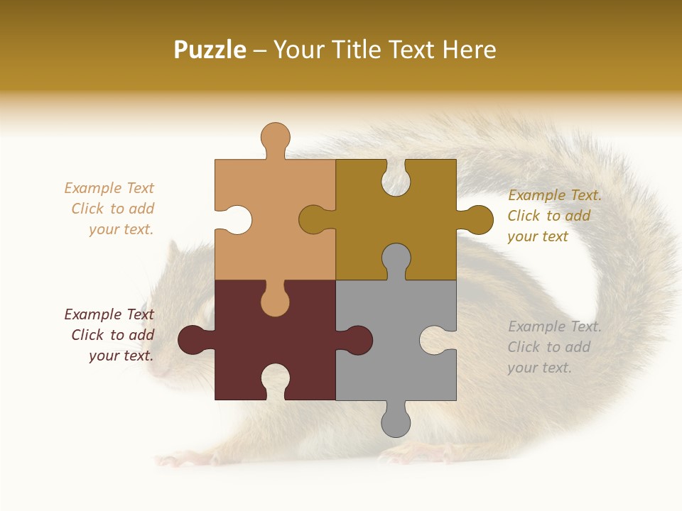 Rodent Small Tail PowerPoint Template