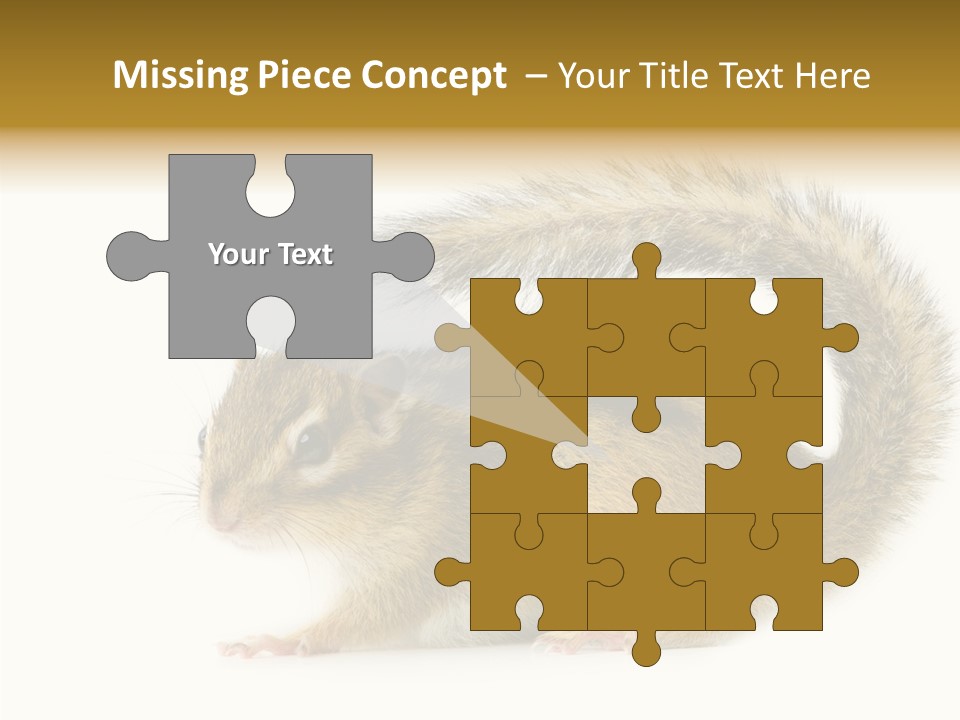 Rodent Small Tail PowerPoint Template