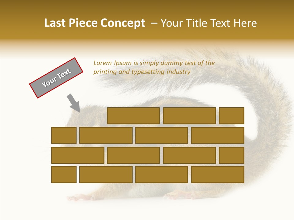 Rodent Small Tail PowerPoint Template