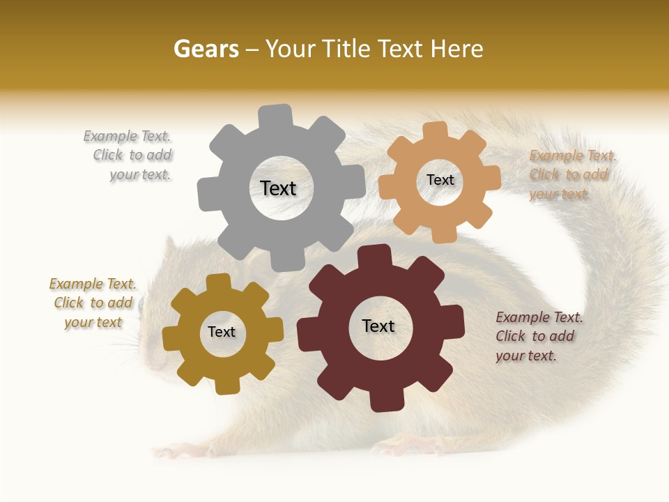 Rodent Small Tail PowerPoint Template