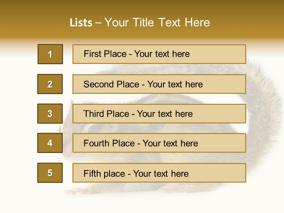 Rodent Small Tail PowerPoint Template