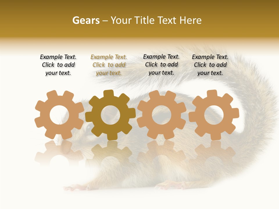 Rodent Small Tail PowerPoint Template