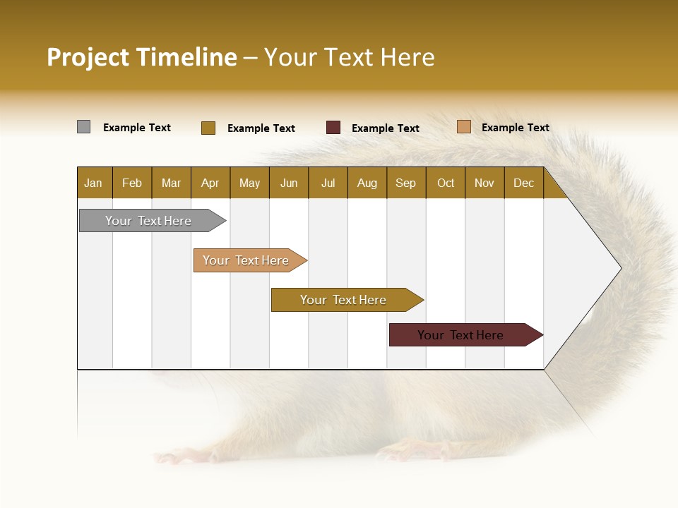 Rodent Small Tail PowerPoint Template