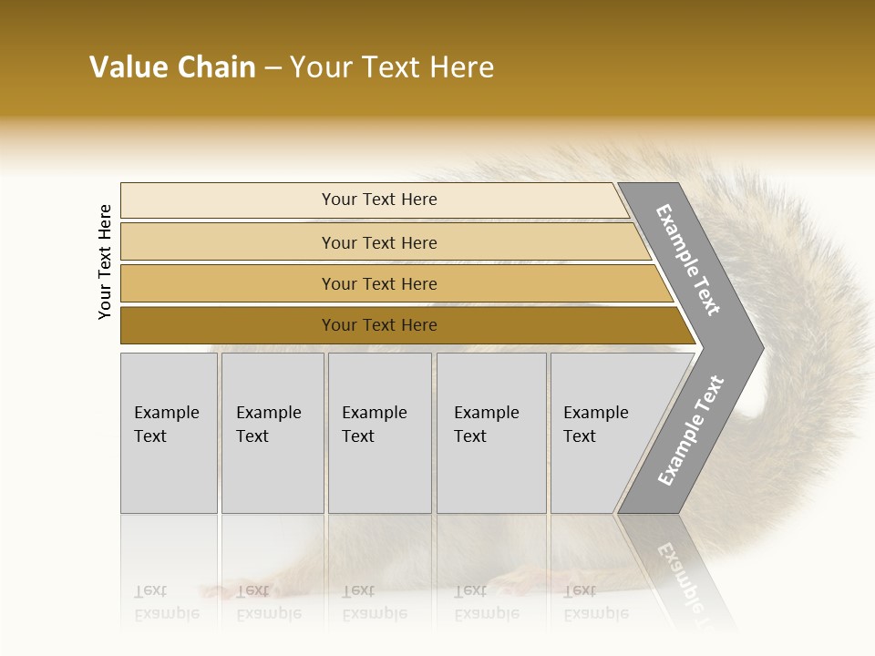 Rodent Small Tail PowerPoint Template