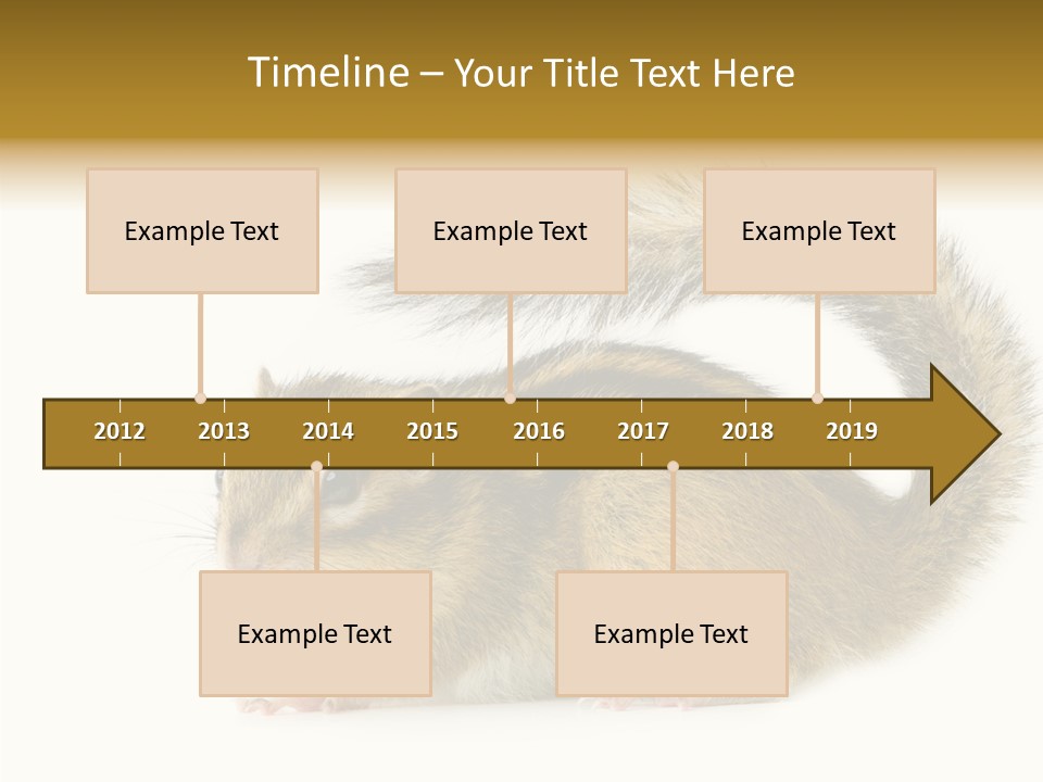 Rodent Small Tail PowerPoint Template