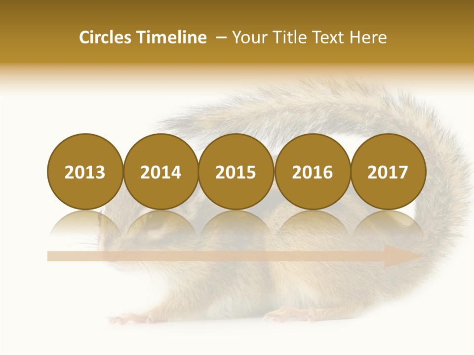 Rodent Small Tail PowerPoint Template