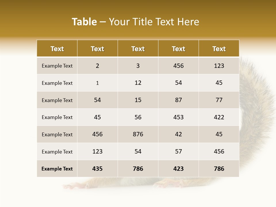 Rodent Small Tail PowerPoint Template