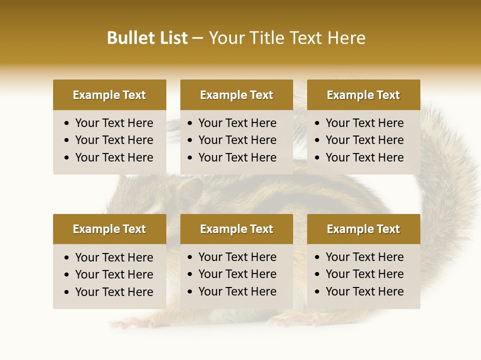 Rodent Small Tail PowerPoint Template