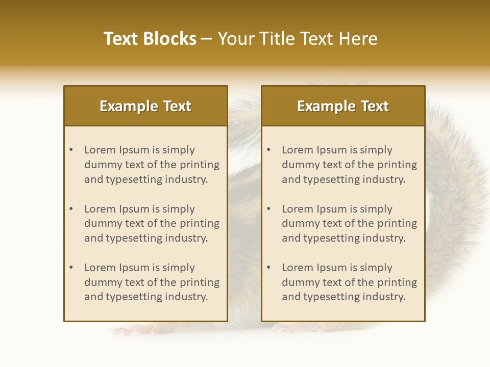 Rodent Small Tail PowerPoint Template