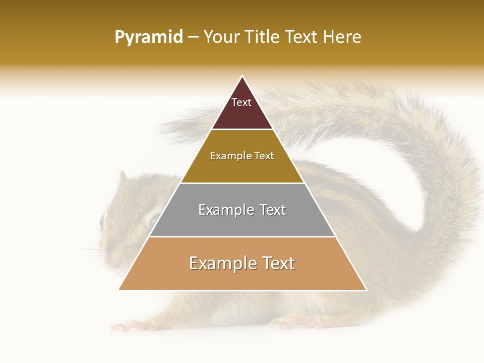 Rodent Small Tail PowerPoint Template