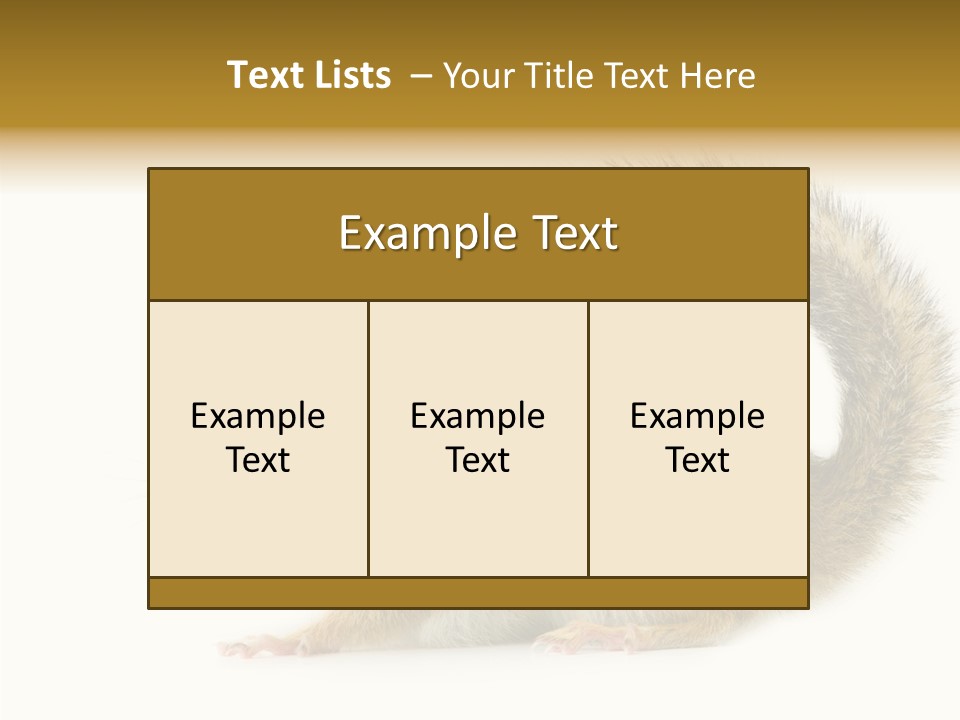 Rodent Small Tail PowerPoint Template