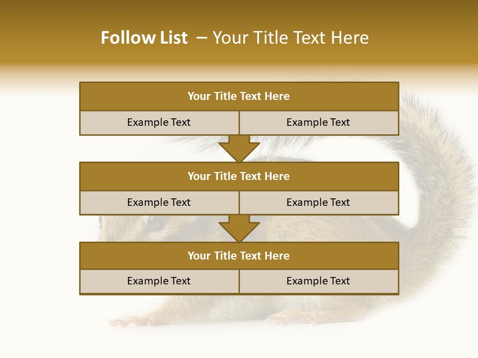 Rodent Small Tail PowerPoint Template