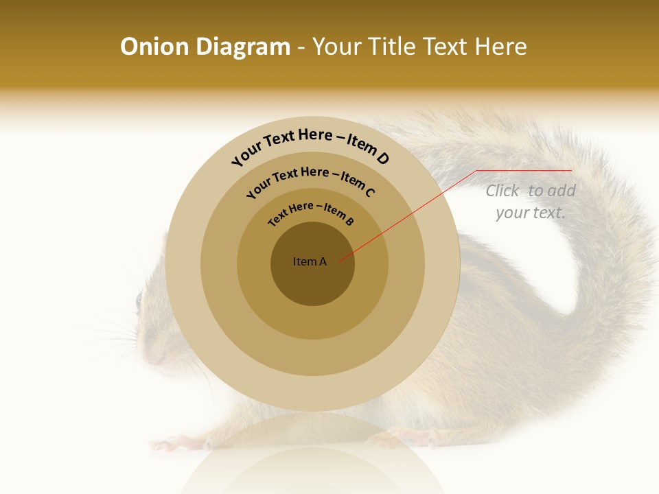 Rodent Small Tail PowerPoint Template