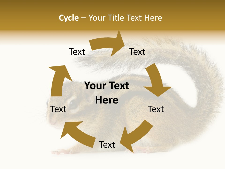 Rodent Small Tail PowerPoint Template