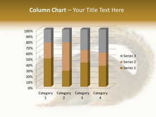 Rodent Small Tail PowerPoint Template