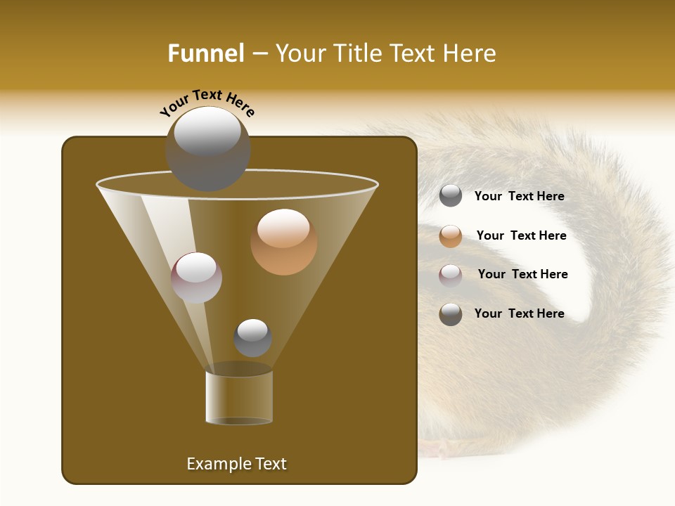 Rodent Small Tail PowerPoint Template