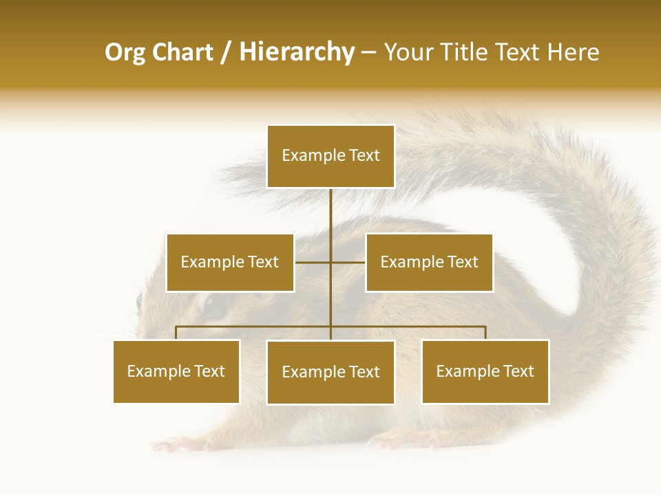Rodent Small Tail PowerPoint Template