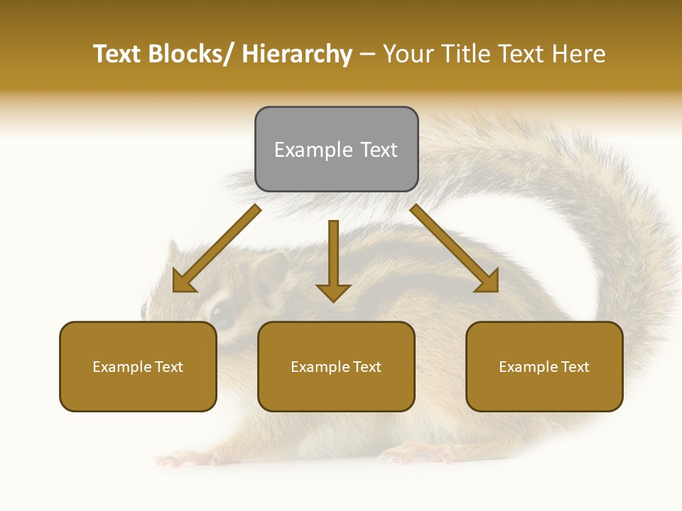 Rodent Small Tail PowerPoint Template