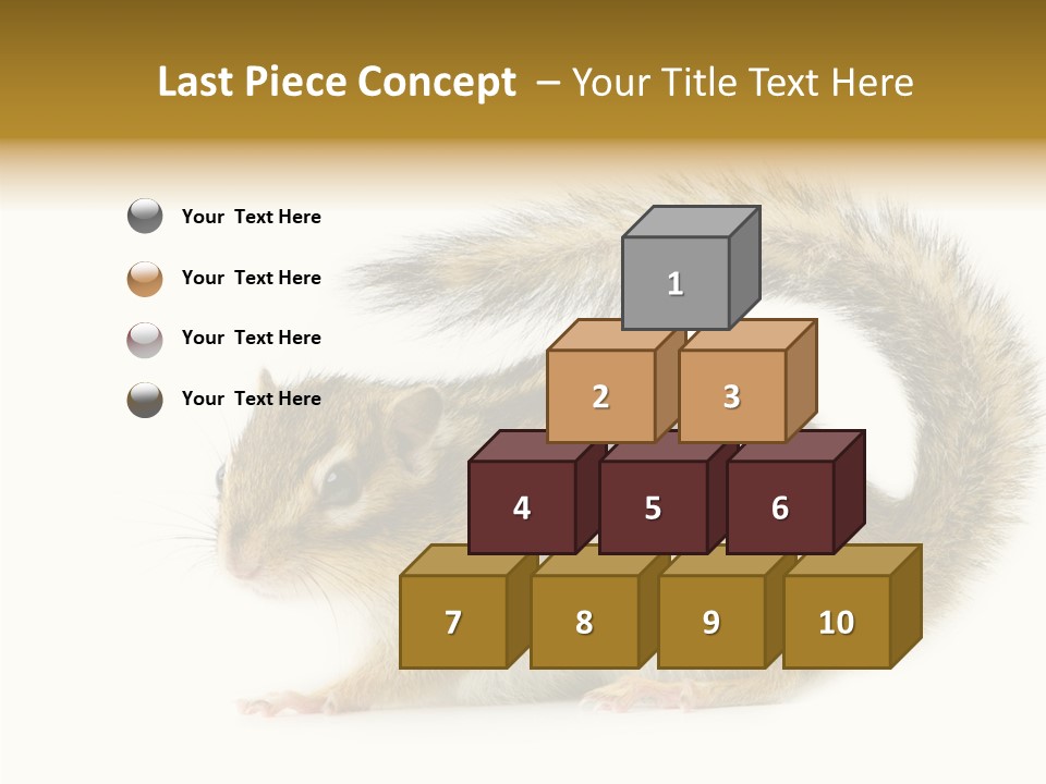 Rodent Small Tail PowerPoint Template