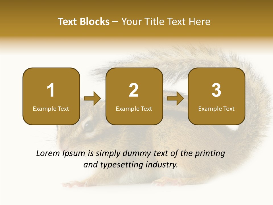 Rodent Small Tail PowerPoint Template