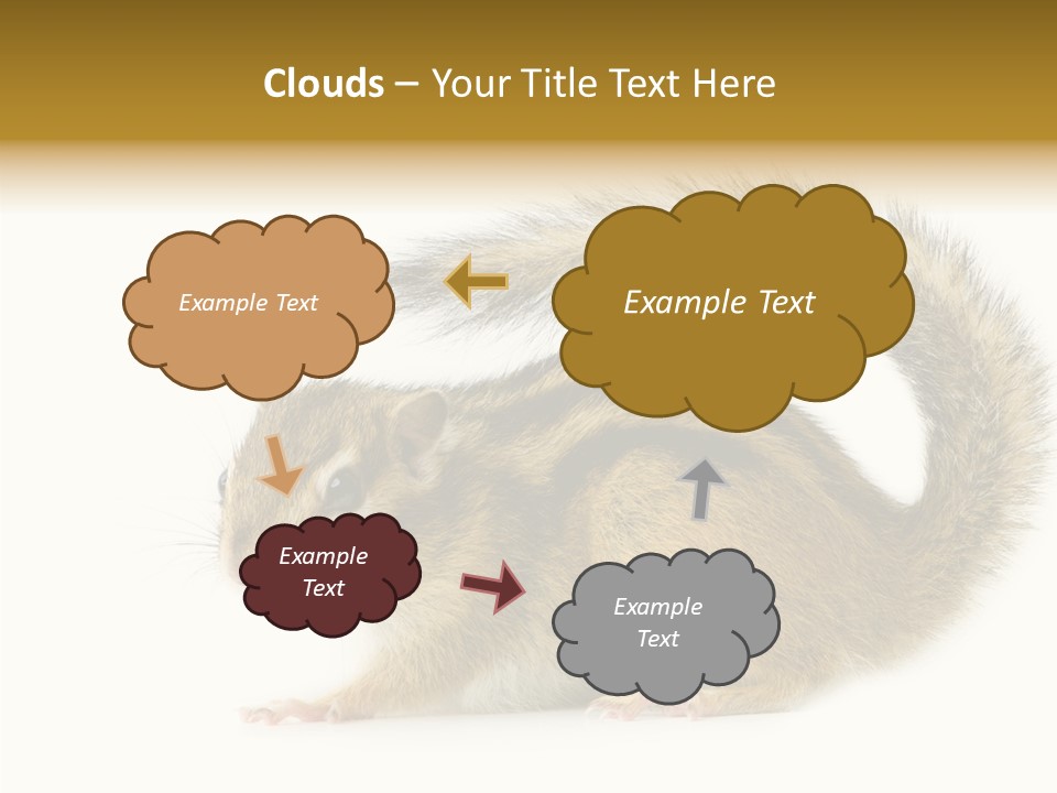 Rodent Small Tail PowerPoint Template