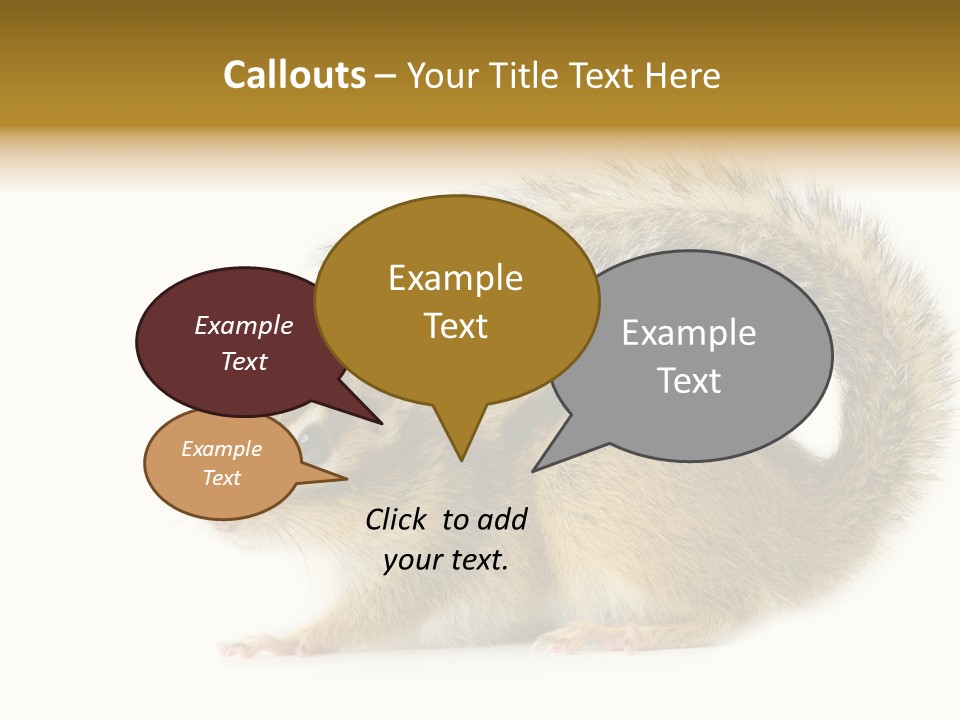 Rodent Small Tail PowerPoint Template