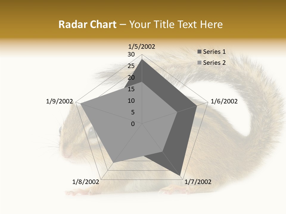 Rodent Small Tail PowerPoint Template