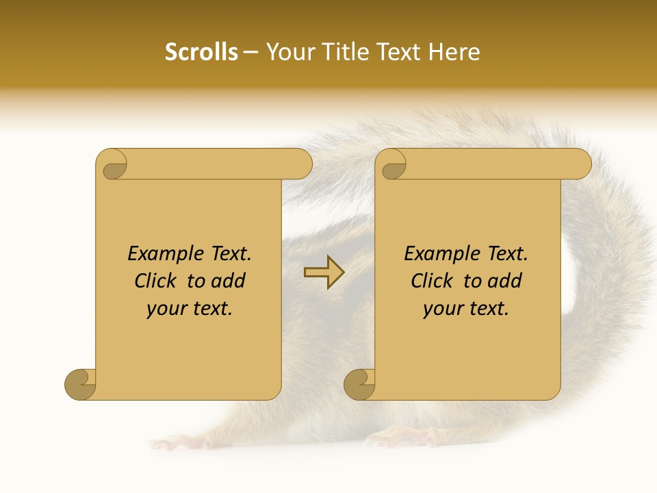 Rodent Small Tail PowerPoint Template