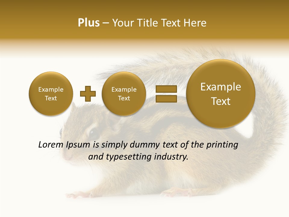 Rodent Small Tail PowerPoint Template
