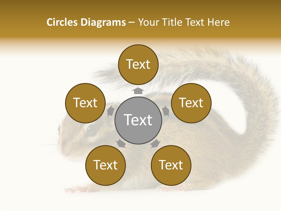 Rodent Small Tail PowerPoint Template