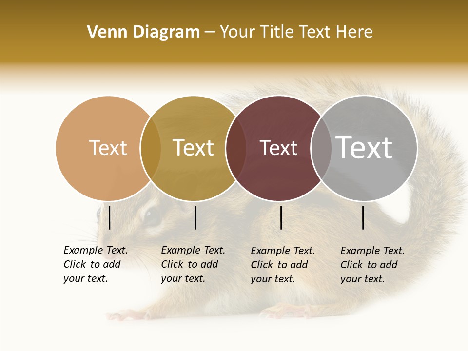 Rodent Small Tail PowerPoint Template
