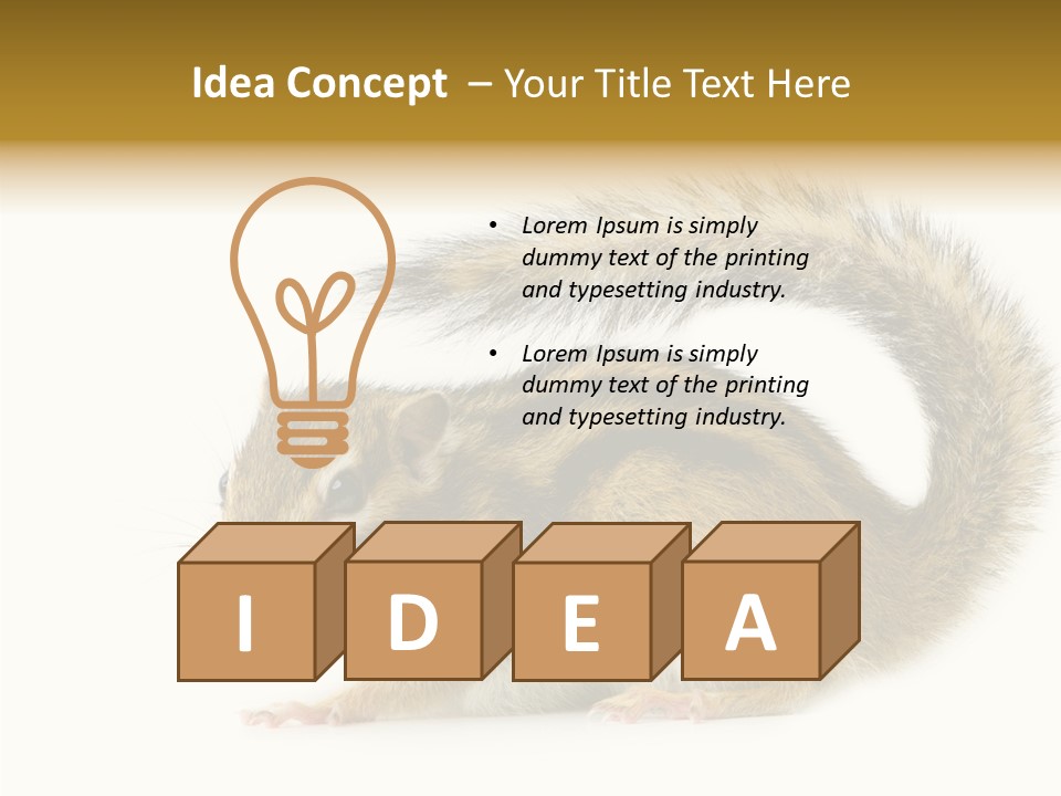Rodent Small Tail PowerPoint Template