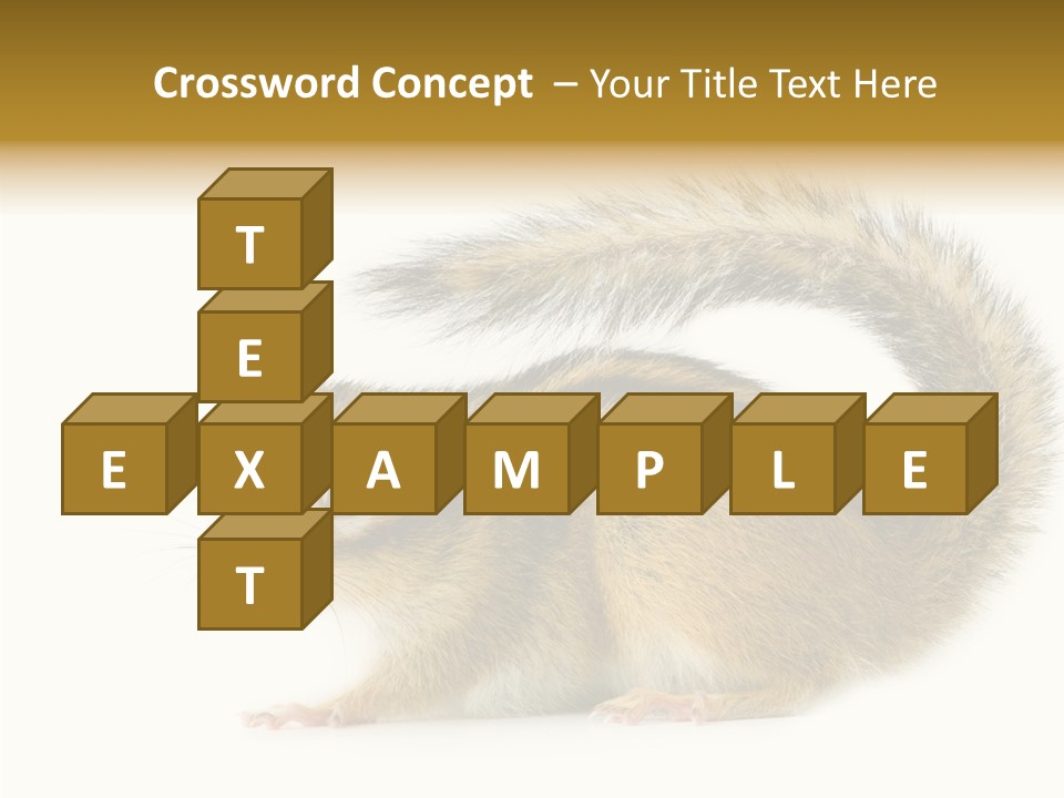 Rodent Small Tail PowerPoint Template