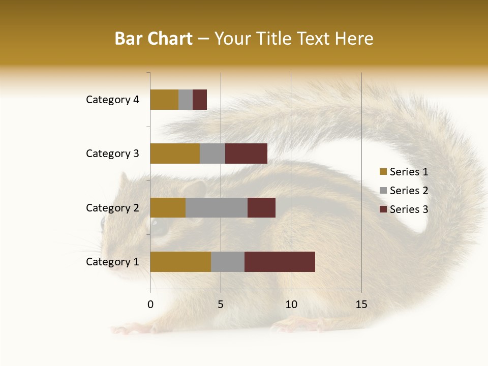 Rodent Small Tail PowerPoint Template