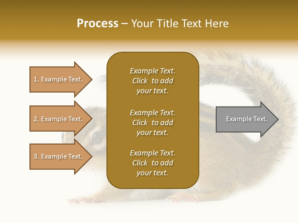 Rodent Small Tail PowerPoint Template
