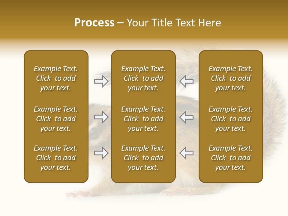 Rodent Small Tail PowerPoint Template