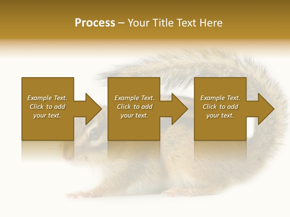 Rodent Small Tail PowerPoint Template