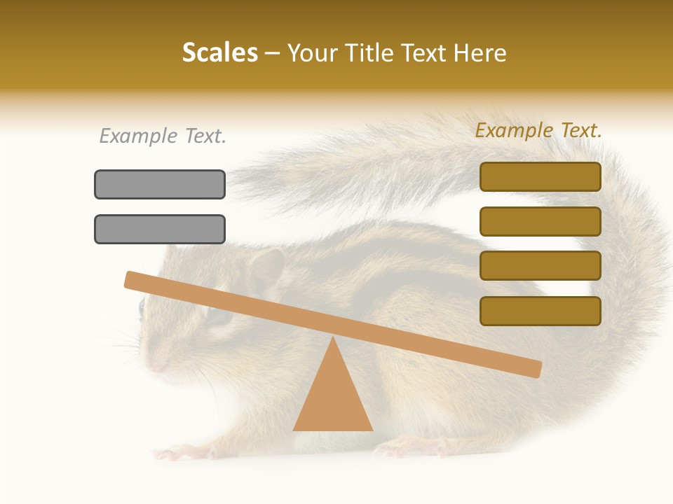 Rodent Small Tail PowerPoint Template